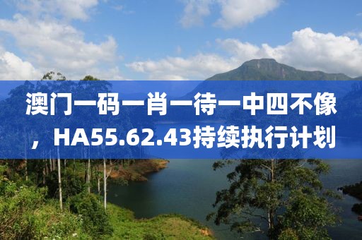 澳门一码一肖一待一中四不像，HA55.62.43持续执行计划