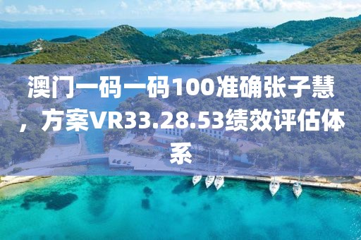 澳门一码一码100准确张子慧，方案VR33.28.53绩效评估体系