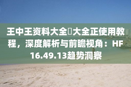 王中王资料大全枓大全正使用教程，深度解析与前瞻视角：HF16.49.13趋势洞察