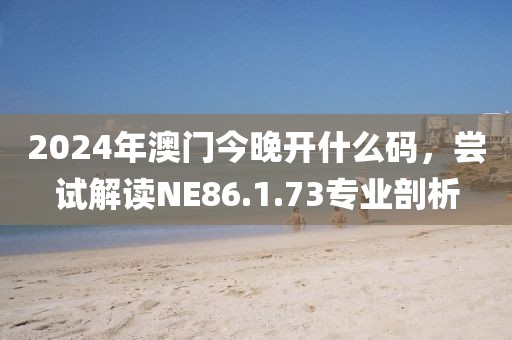 2024年澳门今晚开什么码，尝试解读NE86.1.73专业剖析