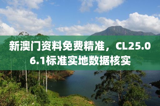 新澳门资料免费精准，CL25.06.1标准实地数据核实