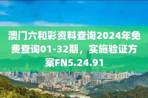 澳门六和彩资料查询2024年免费查询01-32期，实施验证方案FN5.24.91