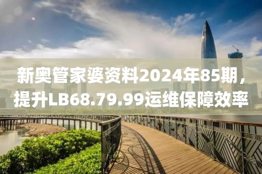 新奥管家婆资料2024年85期，提升LB68.79.99运维保障效率