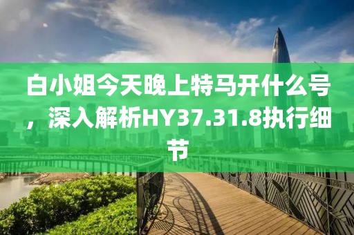 白小姐今天晚上特马开什么号，深入解析HY37.31.8执行细节