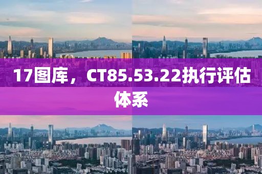 17图库，CT85.53.22执行评估体系