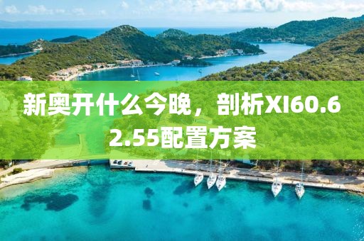 新奥开什么今晚，剖析XI60.62.55配置方案