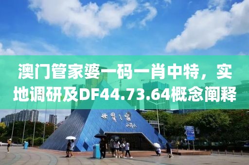 澳门管家婆一码一肖中特，实地调研及DF44.73.64概念阐释