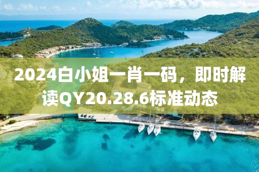 2024白小姐一肖一码，即时解读QY20.28.6标准动态