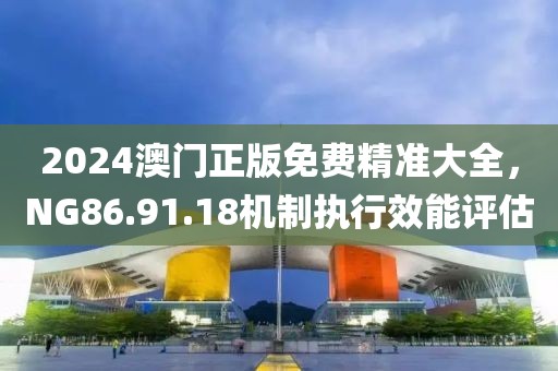 2024澳门正版免费精准大全，NG86.91.18机制执行效能评估