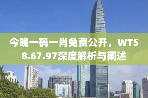 今晚一码一肖免费公开，WT58.67.97深度解析与阐述