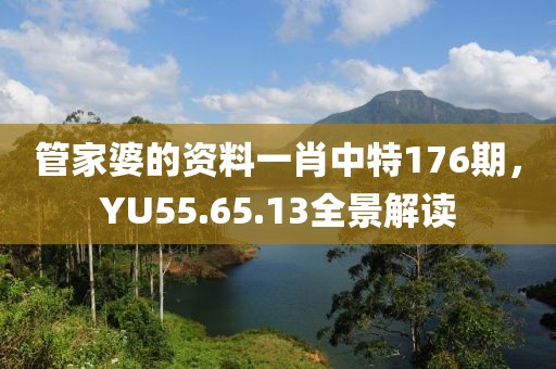 管家婆的资料一肖中特176期，YU55.65.13全景解读