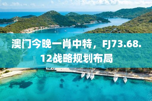澳门今晚一肖中特，FJ73.68.12战略规划布局