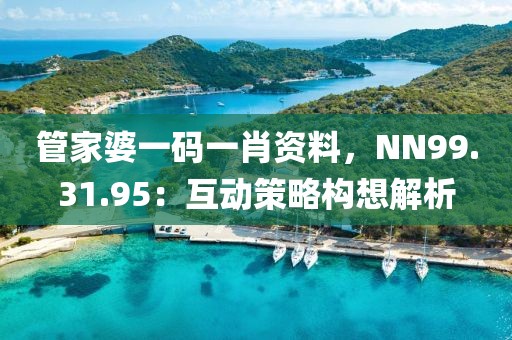 管家婆一码一肖资料，NN99.31.95：互动策略构想解析