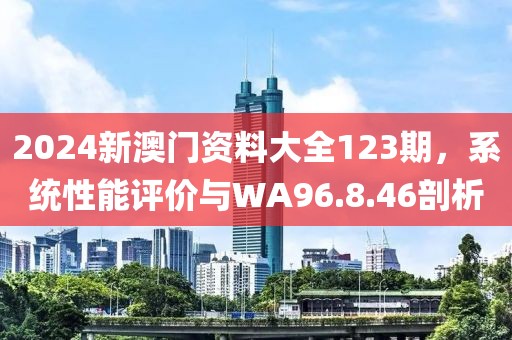 2024新澳门资料大全123期，系统性能评价与WA96.8.46剖析