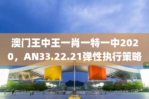 澳门王中王一肖一特一中2020，AN33.22.21弹性执行策略