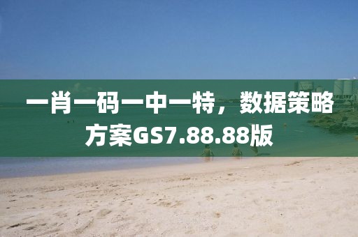 一肖一码一中一特，数据策略方案GS7.88.88版