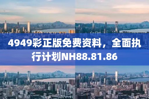 4949彩正版免费资料，全面执行计划NH88.81.86