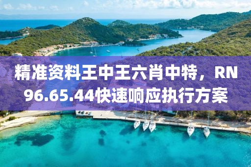 精准资料王中王六肖中特，RN96.65.44快速响应执行方案