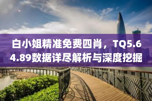 白小姐精准免费四肖，TQ5.64.89数据详尽解析与深度挖掘