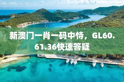 新澳门一肖一码中恃，GL60.61.36快速答疑