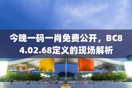 今晚一码一肖免费公开，BC84.02.68定义的现场解析