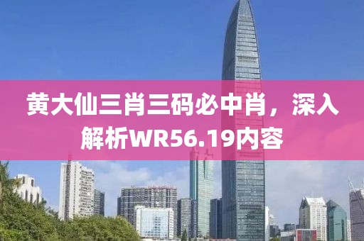 黄大仙三肖三码必中肖，深入解析WR56.19内容
