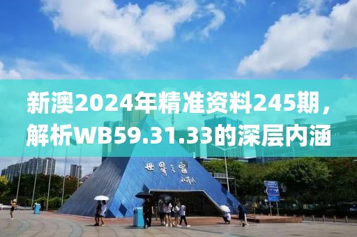 新澳2024年精准资料245期，解析WB59.31.33的深层内涵