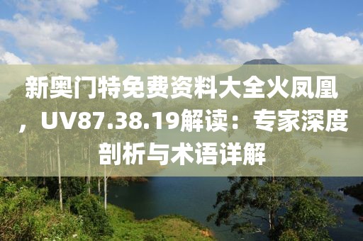 新奥门特免费资料大全火凤凰，UV87.38.19解读：专家深度剖析与术语详解