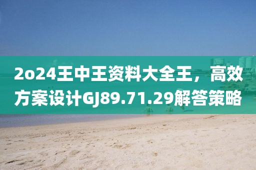 2o24王中王资料大全王，高效方案设计GJ89.71.29解答策略