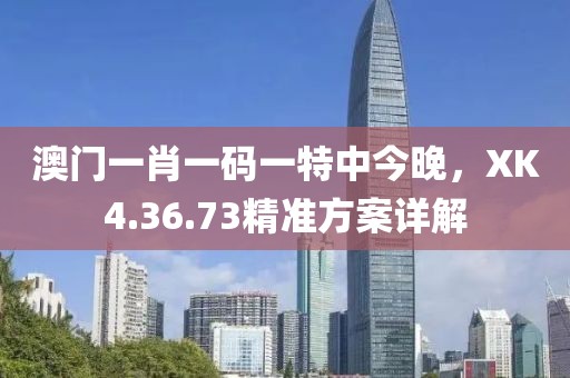 澳门一肖一码一特中今晚，XK4.36.73精准方案详解