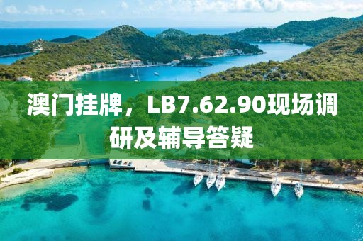 澳门挂牌，LB7.62.90现场调研及辅导答疑