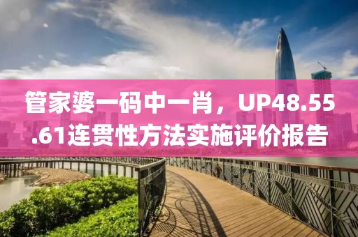 管家婆一码中一肖，UP48.55.61连贯性方法实施评价报告