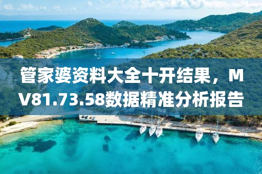 管家婆资料大全十开结果，MV81.73.58数据精准分析报告