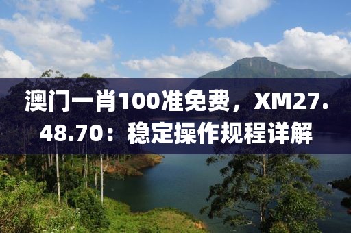 澳门一肖100准免费，XM27.48.70：稳定操作规程详解