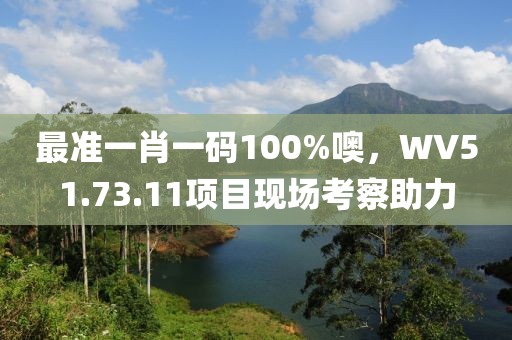 最准一肖一码100%噢，WV51.73.11项目现场考察助力