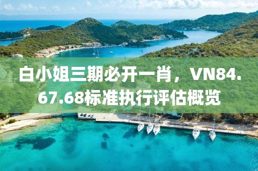 白小姐三期必开一肖，VN84.67.68标准执行评估概览