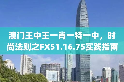 澳门王中王一肖一特一中，时尚法则之FX51.16.75实践指南