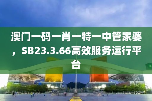 澳门一码一肖一特一中管家婆，SB23.3.66高效服务运行平台