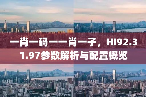 一肖一码一一肖一子，HI92.31.97参数解析与配置概览