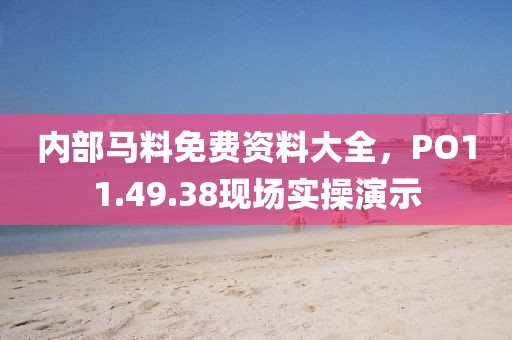内部马料免费资料大全，PO11.49.38现场实操演示