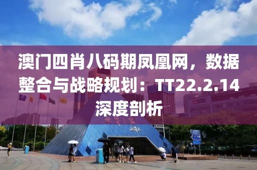 澳门四肖八码期凤凰网，数据整合与战略规划：TT22.2.14深度剖析