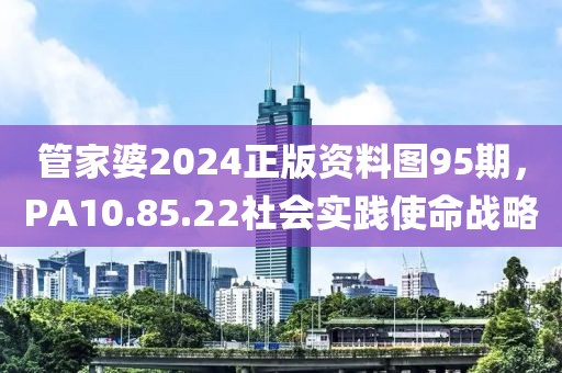 管家婆2024正版资料图95期，PA10.85.22社会实践使命战略
