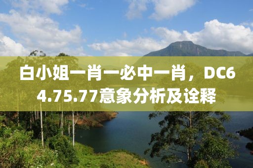 白小姐一肖一必中一肖，DC64.75.77意象分析及诠释
