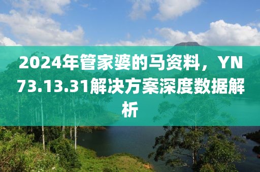 2024年管家婆的马资料，YN73.13.31解决方案深度数据解析