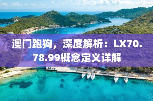 澳门跑狗，深度解析：LX70.78.99概念定义详解