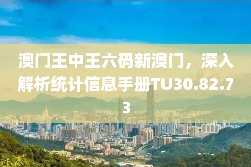 澳门王中王六码新澳门，深入解析统计信息手册TU30.82.73