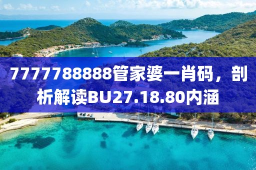 7777788888管家婆一肖码，剖析解读BU27.18.80内涵