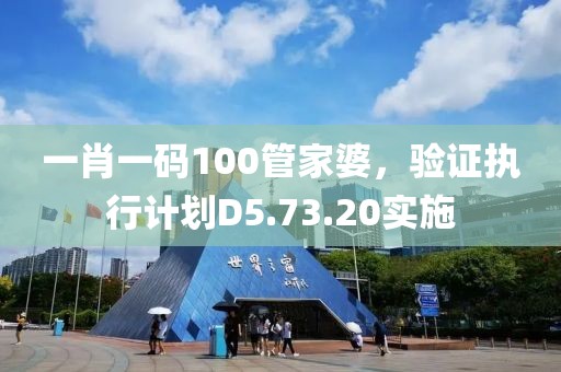 一肖一码100管家婆，验证执行计划D5.73.20实施
