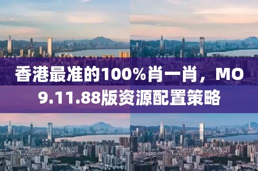 香港最准的100%肖一肖，MO9.11.88版资源配置策略