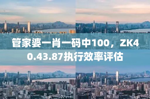管家婆一肖一码中100，ZK40.43.87执行效率评估